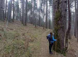 20220220_135518.jpeg 20220220_135518.jpeg