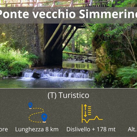 riserva%20gariglione%20pisarello.jpeg