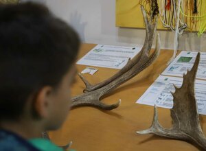 12-granaro-ic-de-amicis--bolani-rc-2023.jpeg 12-granaro-ic-de-amicis--bolani-rc-2023.jpeg