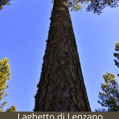 crocifisso%20della%20chiesiola