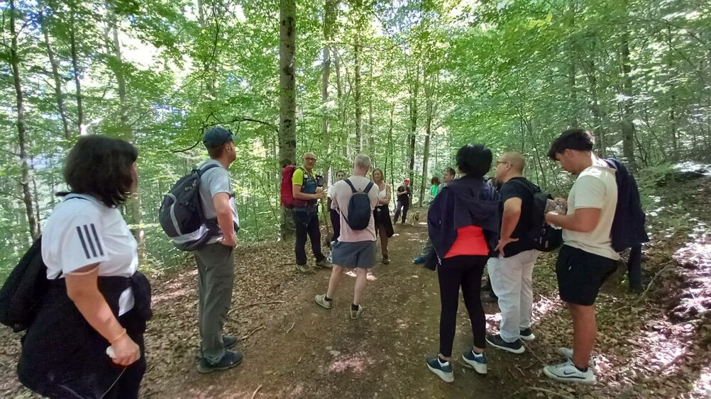 eyJpdCI6IkVzY3Vyc2lvbmUgVG9ycmUgZGVsbGEgTWFyY2hlc2EifQ==