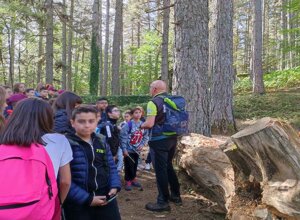 22-granaro-ic-de-amicis--bolani-rc-2023.jpeg 22-granaro-ic-de-amicis--bolani-rc-2023.jpeg