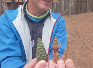 0-istituto-d'istruzione-superiore-p.-galluppi-tropea.jpeg 0-istituto-d'istruzione-superiore-p.-galluppi-tropea.jpeg