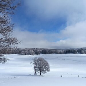 Pianoro di Tirivolo innevato Pianoro di Tirivolo innevato