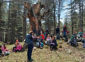 pon-si-va-in-scena-17.jpeg pon-si-va-in-scena-17.jpeg