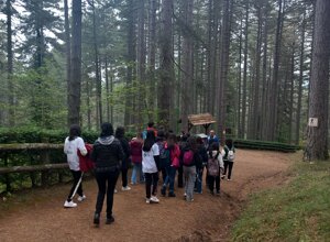 487313537_1069226521900864_3437526351965121054_n.jpeg 487313537_1069226521900864_3437526351965121054_n.jpeg