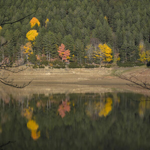 Riflessi sul lago Ampollino Riflessi sul lago Ampollino