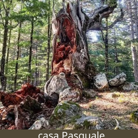 sul%20crinale%20di%20quarzo