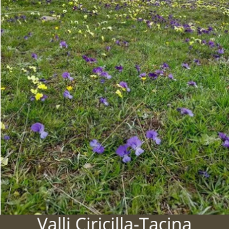 cascata%20del%20piciaro