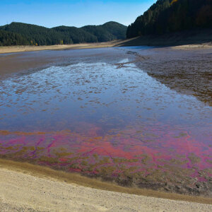 Lago Ampollino Lago Ampollino