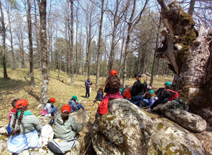 pon-si-va-in-scena-8.jpeg pon-si-va-in-scena-8.jpeg