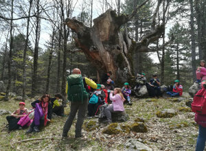 pon-si-va-in-scena-12.jpeg pon-si-va-in-scena-12.jpeg