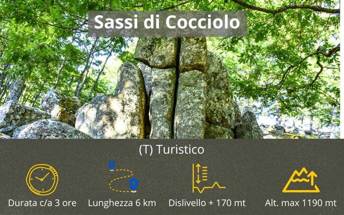 sassi di cocciolo.jpeg