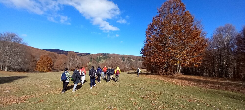 eyJpdCI6IkVzY3Vyc2lvbmUgdmFsZSBkZWwgc29sZW8ifQ==