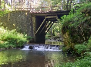 20250615_101455.jpeg 20250615_101455.jpeg