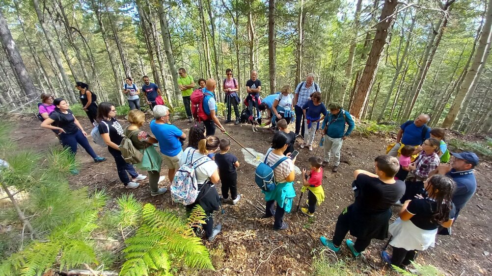 eyJpdCI6IkVzY3Vyc2lvbmUgaW4gU2lsYSJ9