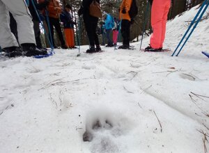 logo 2018 il barattolo png 1000 b