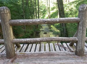 20250615_101129.jpeg 20250615_101129.jpeg