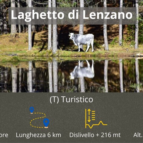 fiume%20ampollino.jpeg