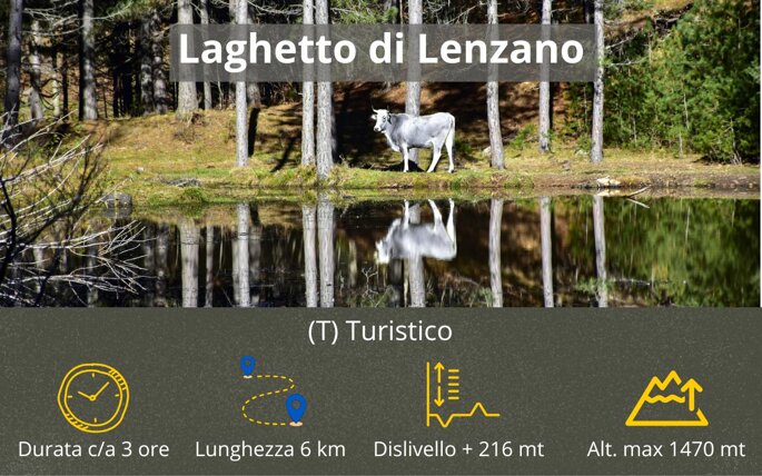 laghetto di lenzano.jpeg