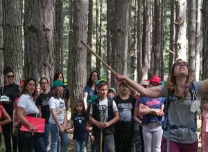 pon-si-va-in-scena-15.jpeg pon-si-va-in-scena-15.jpeg