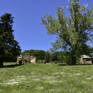 Valle Tacina vaccheria alta Valle Tacina vaccheria alta