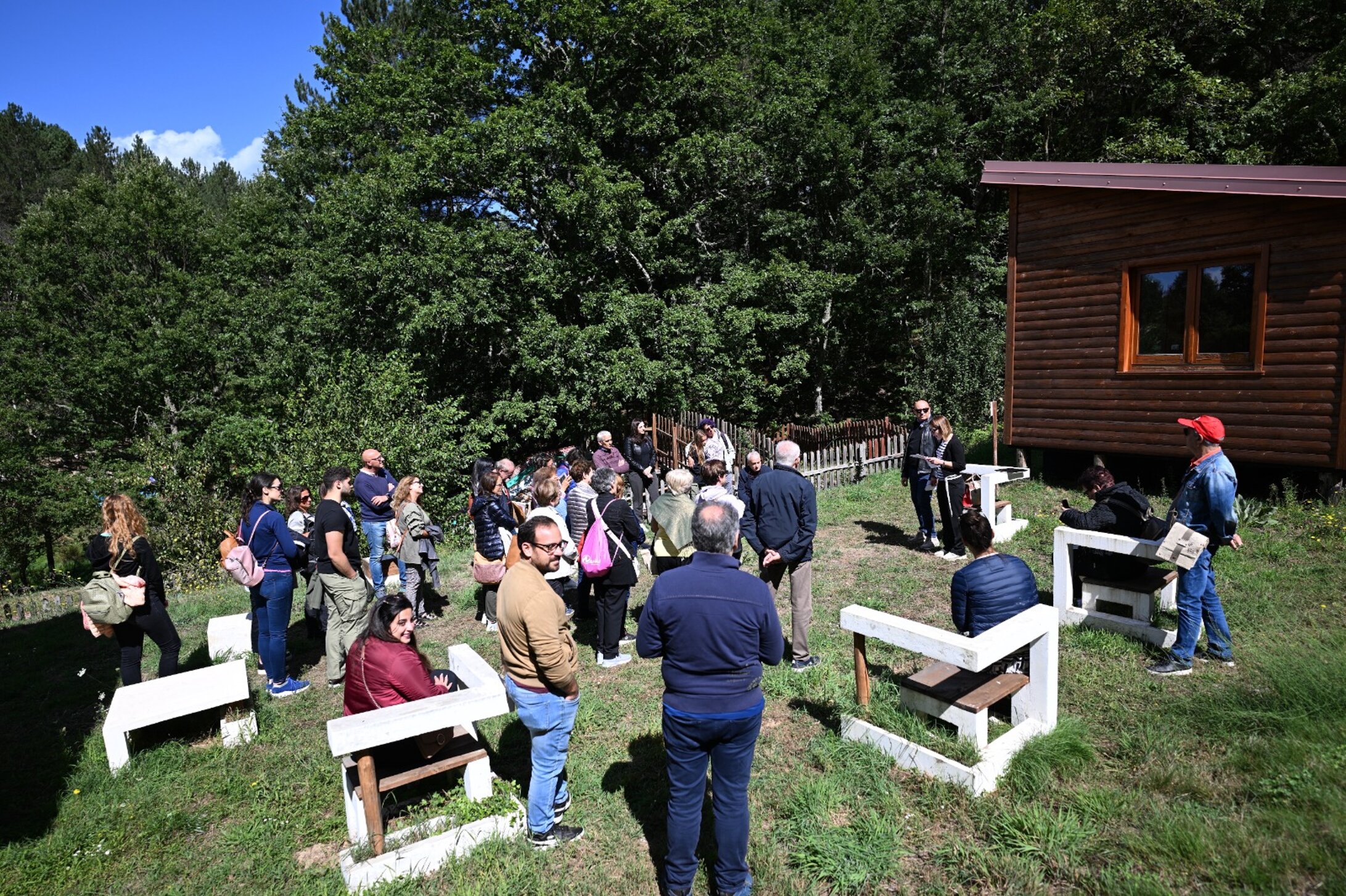 bcc61db0-7f9e-473a-b154-62953caf3be1.jpeg bcc61db0-7f9e-473a-b154-62953caf3be1.jpeg