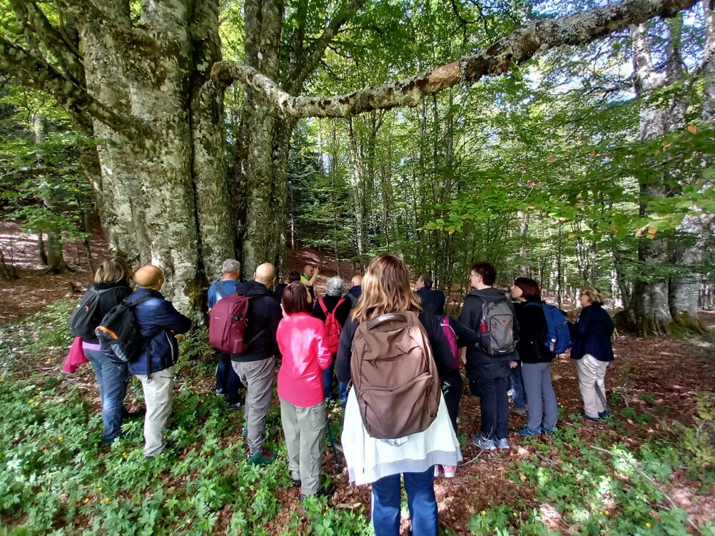 eyJpdCI6IkVzY3Vyc2lvbmUgcmlzZXJ2YSBQaXNhcmVsbG8ifQ==