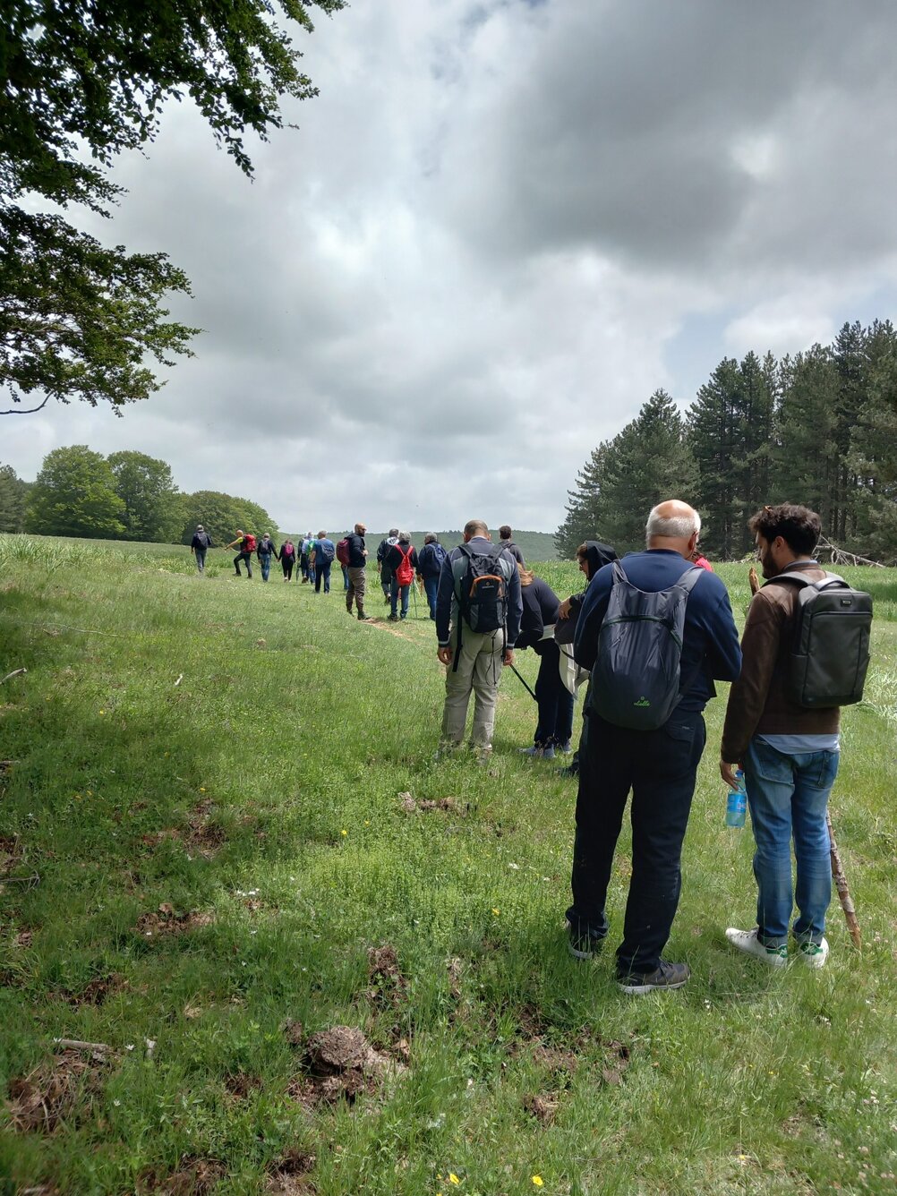 eyJpdCI6IkVzY3Vyc2lvbmUgcmlzZXJ2YSBQaXNhcmVsbG8ifQ==