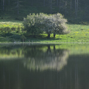 Lago Ampollino riflessi Lago Ampollino riflessi