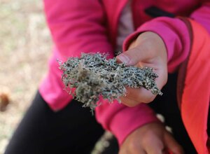 19-granaro-ic-de-amicis--bolani-rc-2023.jpeg 19-granaro-ic-de-amicis--bolani-rc-2023.jpeg