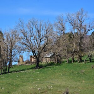 Valle Tacina vaccheria bassa Valle Tacina vaccheria bassa