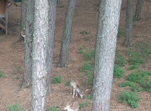 487068583_1069226361900880_1996340872320838117_n.jpeg 487068583_1069226361900880_1996340872320838117_n.jpeg