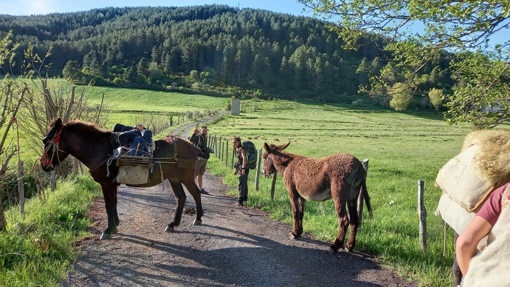 191005935_4333803773297556_3333946338001728937_n (1).jpeg