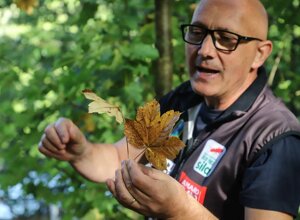 8-granaro-ic-de-amicis--bolani-rc-2023.jpeg 8-granaro-ic-de-amicis--bolani-rc-2023.jpeg