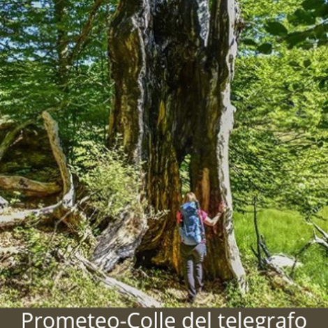 ciciarata%20colle%20purgatorio