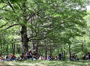 pon-si-va-in-scena-16.jpeg pon-si-va-in-scena-16.jpeg