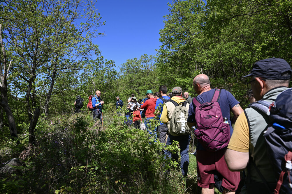 eyJpdCI6IkVzY3Vyc2lvbmUgUGFsbG9uZSJ9