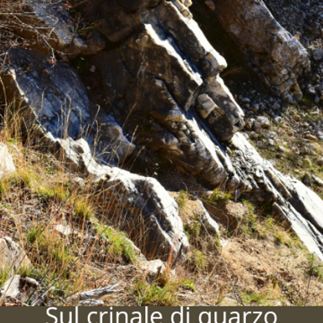 torre%20della%20marchesa