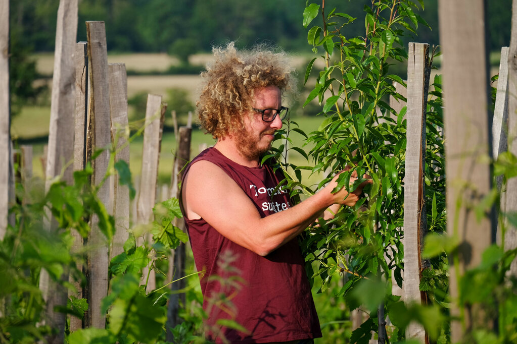 JTdCJTIyZW4lMjIlM0ElMjJBJTIwd2luZW1ha2VyJTIwdGVuZGluZyUyMHRvJTIweW91bmclMjB0cmVlcyUyMGludGVncmF0ZWQlMjB3aXRoaW4lMjB0aGUlMjB2aW5leWFyZCUyMHJvd3MlMjBhdCUyME1vbnRvaXNlbC4lMjBUaGlzJTIwaWxsdXN0cmF0ZXMlMjBhZ3JvZm9yZXN0cnklMjBpbiUyMGFjdGlvbiUyQyUyMHdoZXJlJTIwdHJlZXMlMjBwcm92aWRlJTIwbmF0dXJhbCUyMHNoYWRlJTIwYW5kJTIwY2xpbWF0ZSUyMHJlZ3VsYXRpb24lMjBmb3IlMjB0aGUlMjB2aW5lcy4lMjIlMkMlMjJmciUyMiUzQSUyMlVuJTIwdmlnbmVyb24lMjBzJUUyJTgwJTk5b2NjdXBhbnQlMjBkZSUyMGpldW5lcyUyMGFyYnJlcyUyMGludCVDMyVBOWdyJUMzJUE5cyUyMGF1eCUyMHJhbmdzJTIwZGUlMjB2aWduZXMlMjAlQzMlQTAlMjBNb250b2lzZWwuJTIwQ2VsYSUyMGlsbHVzdHJlJTIwbCVFMiU4MCU5OWFncm9mb3Jlc3RlcmllJTIwZW4lMjBhY3Rpb24lMkMlMjBvJUMzJUI5JTIwbGVzJTIwYXJicmVzJTIwb2ZmcmVudCUyMHVuZSUyMG9tYnJlJTIwbmF0dXJlbGxlJTIwZXQlMjB1bmUlMjByJUMzJUE5Z3VsYXRpb24lMjBjbGltYXRpcXVlJTIwYXV4JTIwdmlnbmVzLiUyMiU3RA==