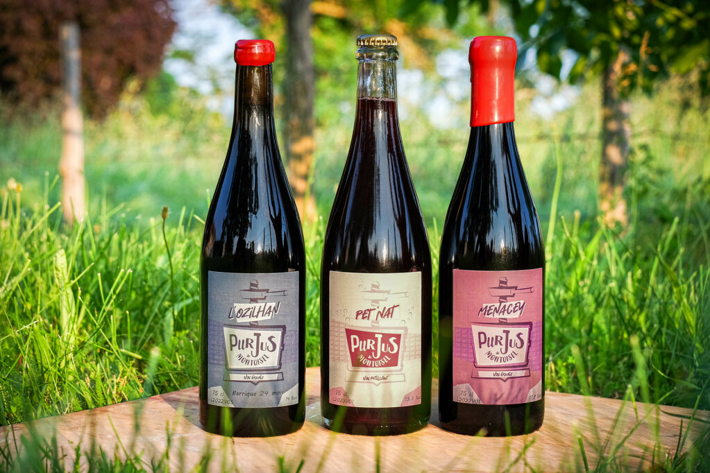 eyJlbiI6IlRyaW8gb2YgTW9udG9pc2VsIG5hdHVyYWwgd2luZXM6IEwnT3ppbGhhbiwgUGV0J05hdCwgYW5kIE1lbmFjZXkgYm90dGxlcyBpbiB0aGUgZ3Jhc3MgYXQgc3Vuc2V0IiwiZnIiOiJUcmlvIGRlIGJvdXRlaWxsZXMgUHVycyBKdXMgZGUgTW9udG9pc2VsIDogdmluIHJvdWdlIEwnT3ppbGhhbiwgcOl0aWxsYW50IFBldCdOYXQgZXQgdmluIHJvdWdlIE1lbmFjZXkgYWxpZ27pcyBzdXIgdW5lIHBsYW5jaGUgZW4gYm9pcyBkYW5zIGxlcyB2aWduZXMifQ==