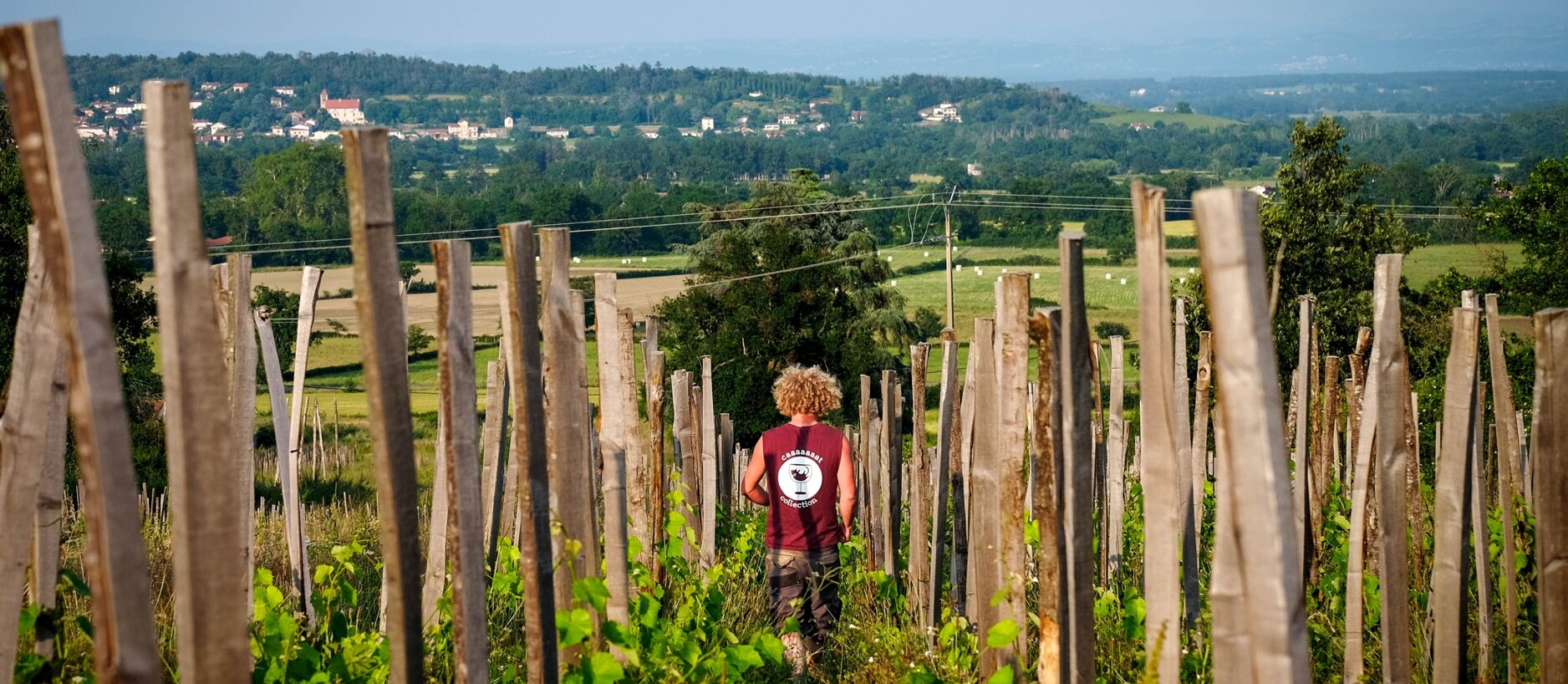 eyJlbiI6IldpbmVtYWtlciBhdCBEb21haW5lIE1vbnRvaXNlbCB0ZW5kaW5nIHRvIHlvdW5nIHRyZWxsaXNlZCB2aW5lcyB3aXRoIGEgcGFub3JhbWljIHZpZXcgb2YgQ2hhbGFpbiBkJ1V6b3JlLCBGcmFuY2UuIiwiZnIiOiJWaWduZXJvbiBkdSBkb21haW5lIE1vbnRvaXNlbCBtYXJjaGFudCBlbnRyZSBsZXMgcmFuZ3MgZGUgamV1bmVzIHZpZ25lcyBwYWxpc3PpZXMgc3VyIHBpcXVldHMgYm9pcywgYXZlYyB2dWUgc3VyIGxlIHZpbGxhZ2UgZGUgQ2hhbGFpbiBkJ1V6b3JlIGVuIGFycmnocmUtcGxhbi4ifQ==