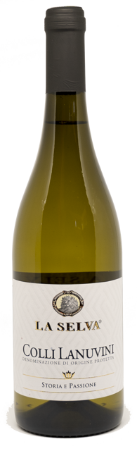 imgi_4_la-selva_orig imgi_4_la-selva_orig