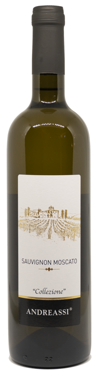 imgi_2_sauvignon-moscato_orig imgi_2_sauvignon-moscato_orig