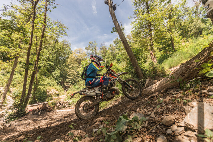 50d612afe7df0cf79dd2c8b660ca0cea6afa848e