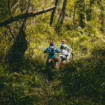 a6f29e_5c04463529f64611a66345d369407431~mv2