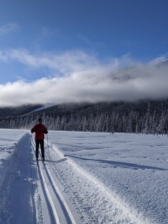 cross-country-skiing-4763037_1920.jpeg