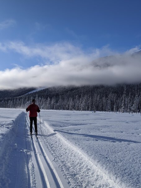 cross-country-skiing-4763037_1920.jpeg
