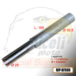perno-per-monobraccio-bmw-f800-sst
