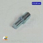perno-per-cannotto-di-sterzo-diametro-2280